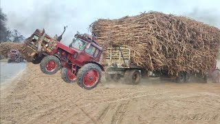 Powerful Belarus tractors pulling heavy loaded trailer  Belarus 510 tractor  Belarus MTz50 tractor [upl. by Cattima]