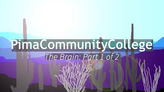 BIO 201 The Brain  Part 1 of 2 [upl. by Iron]