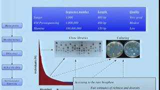 Microbial Metagenomics [upl. by Yeslek]