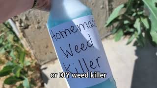 DIY Weed Killer all natural 3 ingredients [upl. by Kakalina]