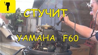 Стучит YAMAHA F60 [upl. by Latrina124]