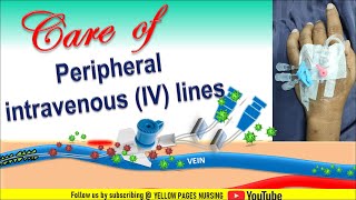 Care of peripheral intravenous line  Peripheral Intravenous Line PIV  Care of peripheral IV line [upl. by Hairam]