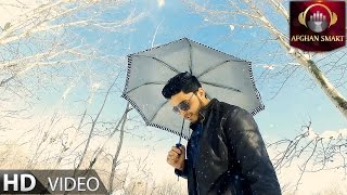 Darwish  Barg e Sabz OFFICIAL VIDEO [upl. by Solotsopa195]