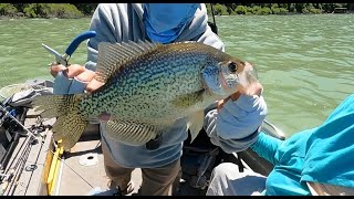 Trifecta Trip with Crappies Redears and Catfish [upl. by Itra731]