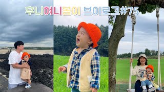 VLOG 봄이랑 제주 한달살기 8일차 ✈ 표선해변amp아침미소목장 [upl. by Hanley784]