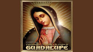 La Guadalupana [upl. by Grindle]