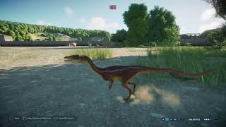 Jurassic World Evolution 2 Troodon vs Coelophysis pair [upl. by Lammaj]