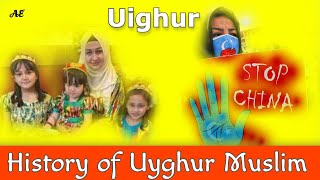 Uyghur Muslim uighur  Why China Crushed  History Culture and facts about Ethnic Group Uyghur [upl. by Ydisac]