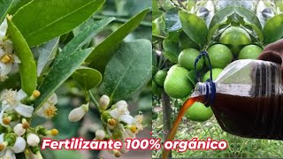 Fertilizante 100 Orgánico para evitar la caida de las flores y frutos de tus árboles frutales [upl. by Geilich301]