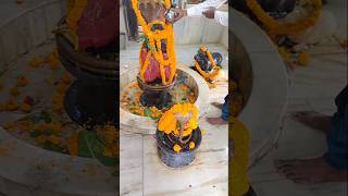 Shri Pashupati nath temple 🥰🙏 🧿 shorts viral ytshorts song temple [upl. by Ihel]