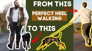 How To Teach Your Dog To Walk To Heel In Seconds [upl. by Lizned256]