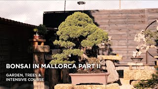 Bonsai in Mallorca II part one [upl. by Spada]