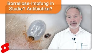 Antibiotika und Impfung bei Borreliose Welche Rolle spielt das Immunsystem shorts [upl. by Fira]