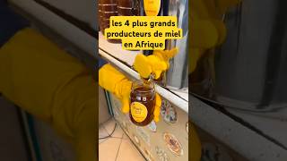 les 4 plus grands producteurs de miel en Afriquemielhoneyafriqueeuropefranceapicultureabeille [upl. by Staten]