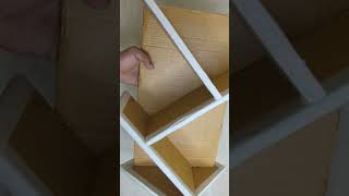 BudgetFriendly Cardboard Bookshelf Ideas for Small Spaces [upl. by Jonati]