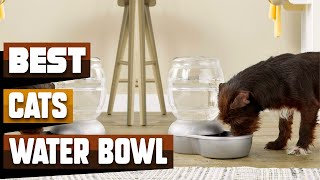 Best Cats Water Bowl In 2024  Top 10 Cats Water Bowls Review [upl. by Savell616]