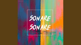 sonare sonare Remix [upl. by Ojeillib694]