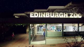 Edinbugh Zoo  Chinese Lanterns [upl. by Crichton]