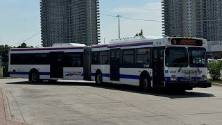 Brampton Transit  Route 4A Chinguacousy North New Flyer D60LF 0839 [upl. by Harbed]