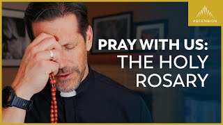 Pray with Us The Sorrowful Mysteries of the Rosary with Fr Mike Schmitz Tuesdays amp Fridays [upl. by Halik]