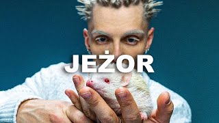 FREE OKI x MATA x OTSOCHODZI TYPE BEAT  JEŻOR [upl. by Weinhardt354]