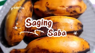 SAGING NA SABA  How to Cook Saba Bananas [upl. by Elnora987]