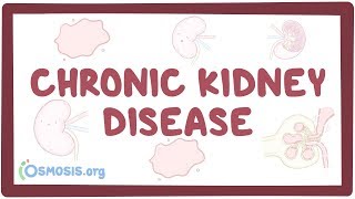 Chronic kidney disease  causes symptoms diagnosis treatment pathology [upl. by Lleynod]