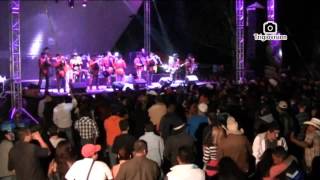 Carnaval Ameca 2015 Banda Maguey [upl. by Aniara904]