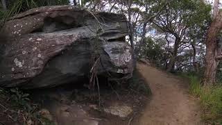 Manly Scenic Walk from Clontarf Reserve to Lighthouse Track [upl. by Anyad963]