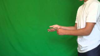 Balisong Tutorial Reverse Grip Aerial Beginner [upl. by Rojam667]