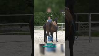 What if your horse doesnt stand at the mounting block equestrian younghorse horsetraining horse [upl. by Lyle]