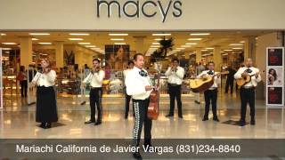 Mariachi California de Javier Vargas [upl. by Dorin]