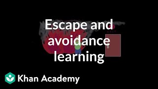 Operant conditioning Escape and avoidance learning  Behavior  MCAT  Khan Academy [upl. by Rennold972]