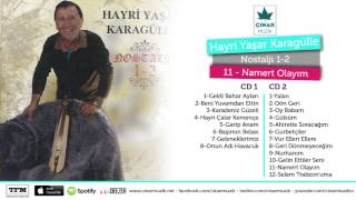 Hayri Yaşar Karagülle  Namert Olayım [upl. by Allebasi634]