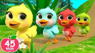 🦆🐤🐤🐤🐤🐤5 Little Ducks  Newborn Baby Songs amp Nursery Rhymes [upl. by Annairba949]