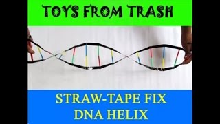 STRAW TAPE DNA HELIX  ENGLISH  DNA Model [upl. by Moreen]