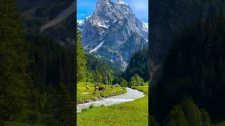 ytshorts Main yahaan hoon trending bollywood famousshorts travel kashmir nature youtubeshort [upl. by Elmaleh99]