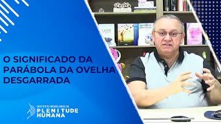 O SIGNIFICADO DA PARÁBOLA DA OVELHA DESGARRADA [upl. by Anauqal137]