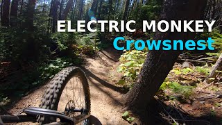 Electric Monkey  Crowsnest Pass AB [upl. by Ynahpets]