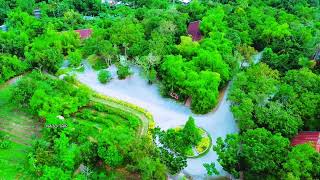 South Farm  Bolod Panglao Bohol 🇵🇭 [upl. by Ahsyekat242]