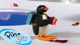 Pingu and the Litter 🐧  Pingu  Official Channel  Cartoons For Kids [upl. by Greenberg191]