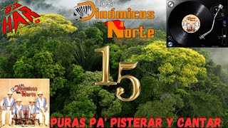 LOS DINAMICOS PURAS NORTEÑITAS PERRONAS PA PISTEAR Y CANTAR LO MEJOR DE LO MEJOR [upl. by Lyrem599]