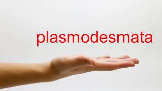 How to Pronounce plasmodesmata  American English [upl. by Eberly]