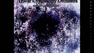 ALEXEY GLUKHOV amp TROCAR CYSTOSTOMY ORCHESTRA Violin Works avantgarde experimentalnoise [upl. by Acilgna]