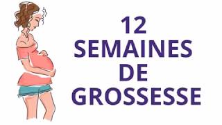 12 SEMAINES DE GROSSESSE OU Douzième semaine de grossesse [upl. by Wulfe]