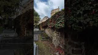 ASMR walk in Graveyard  Headstone Crow cry Cimetière de Montmartre Montmartre Cemetery S6110✝️ [upl. by Simonetta]