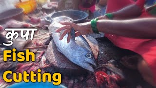 Kupa Fish Cutting at Sassoon Dock Fish Auction Mumbai  YouNick Marathi [upl. by Nennek]