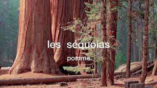 engfr les séquoias by pomme [upl. by Eversole]