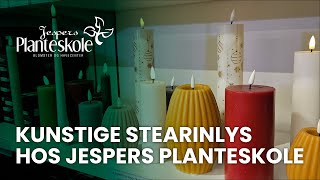 Kunstige stearinlys hos Jespers Planteskole [upl. by Nitsirc751]