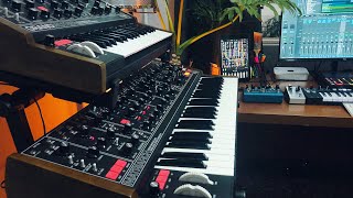 Moog Matriarch Soundscape [upl. by Skill]